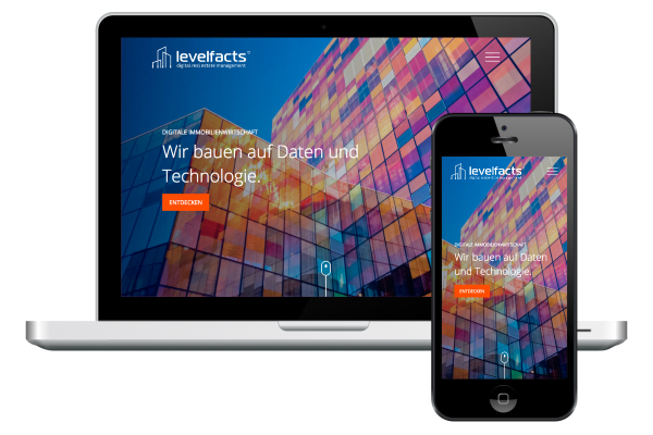 Screenshot der Website 'levelfacts'