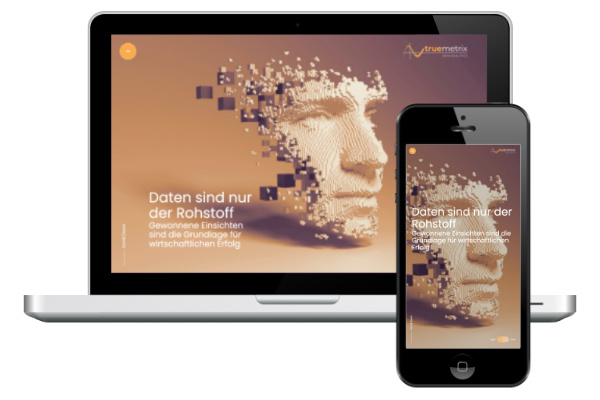 Screenshot der Website 'truemetrix'
